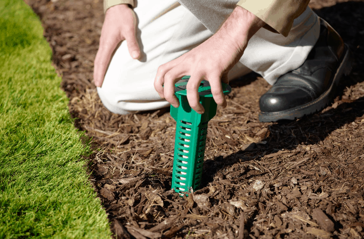 Termites Treatment
