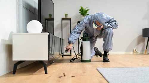 How Pests Could Be Damaging Your Business Without You Knowing It